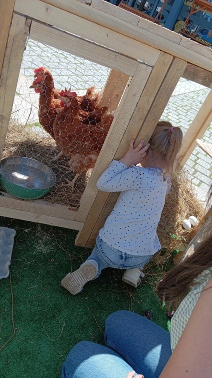 Venkovní Malý farmář 11